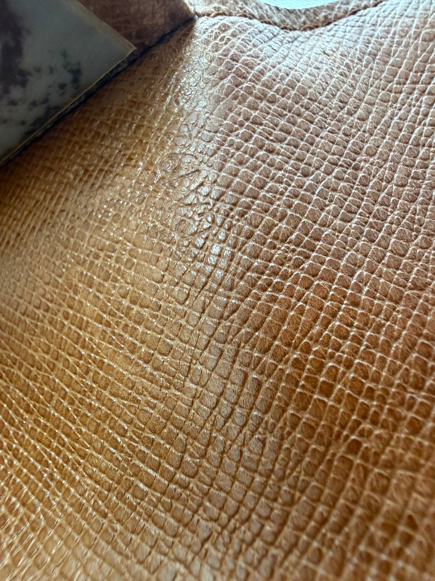 https://res.cloudinary.com/dyql5hig8/image/upload/v1761244930/vdgpqssxlopdsy2zftw2.jpg