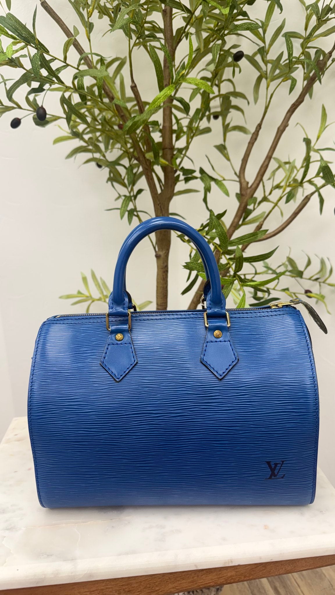Louis Vuitton Blue Epi Leather Speedy 25 Handbag 