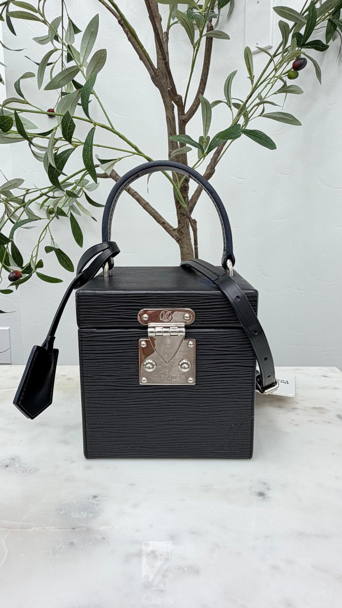 Louis Vuitton Epi Box bag
