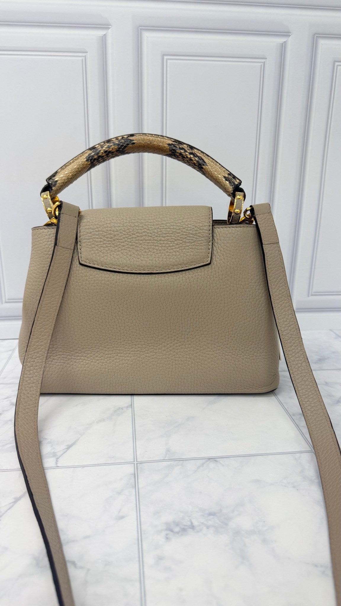 Louis Vuitton Grey And Python Taurillon Leather Capucines BB Handbag