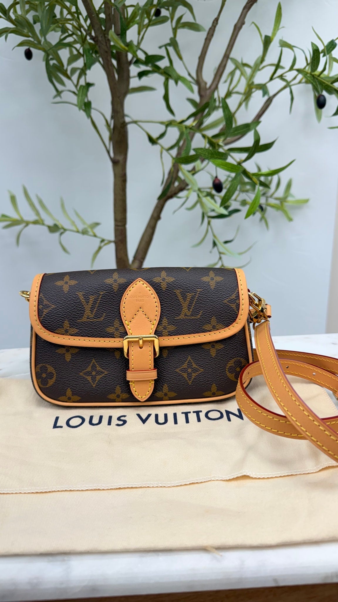 BRAND NEW - Louis Vuitton Monogram Nano Diane Crossbody Bag 