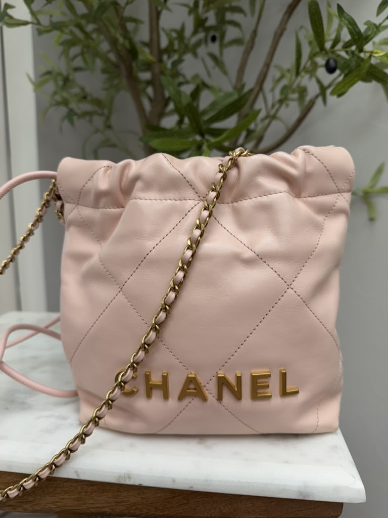 Chanel Pale Pink Quilted Leather 22 Hobo Crossbody