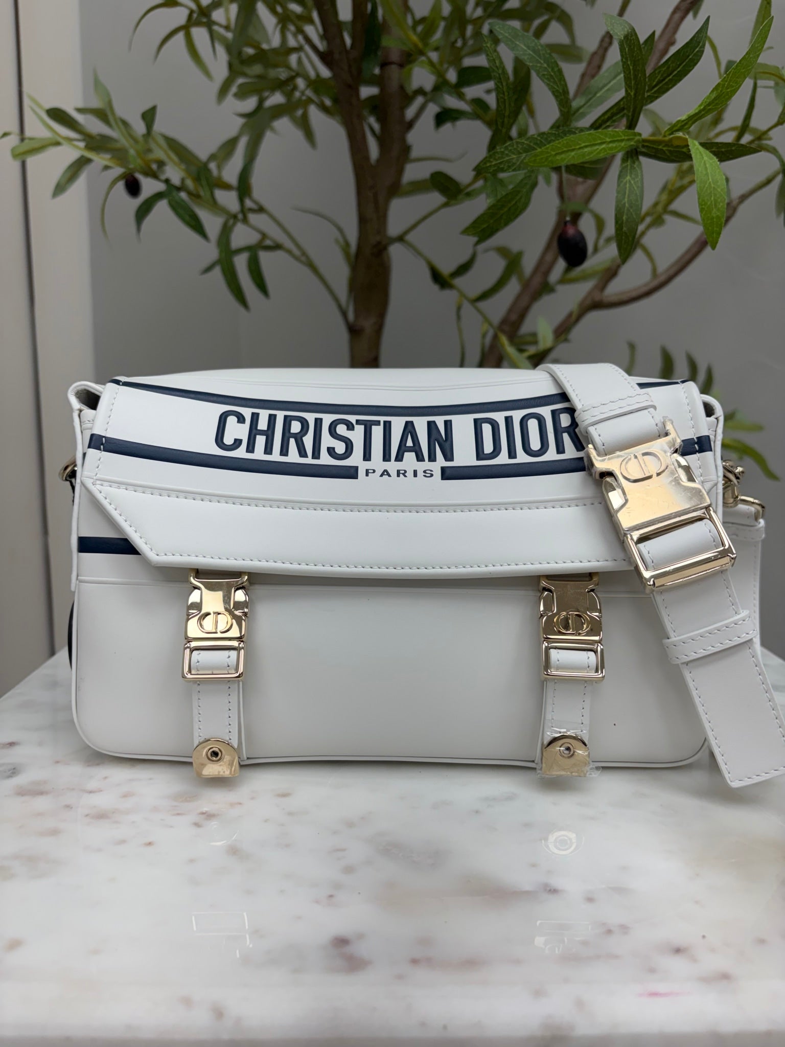 Christian Dior White Calfskin Diorcamp Bag