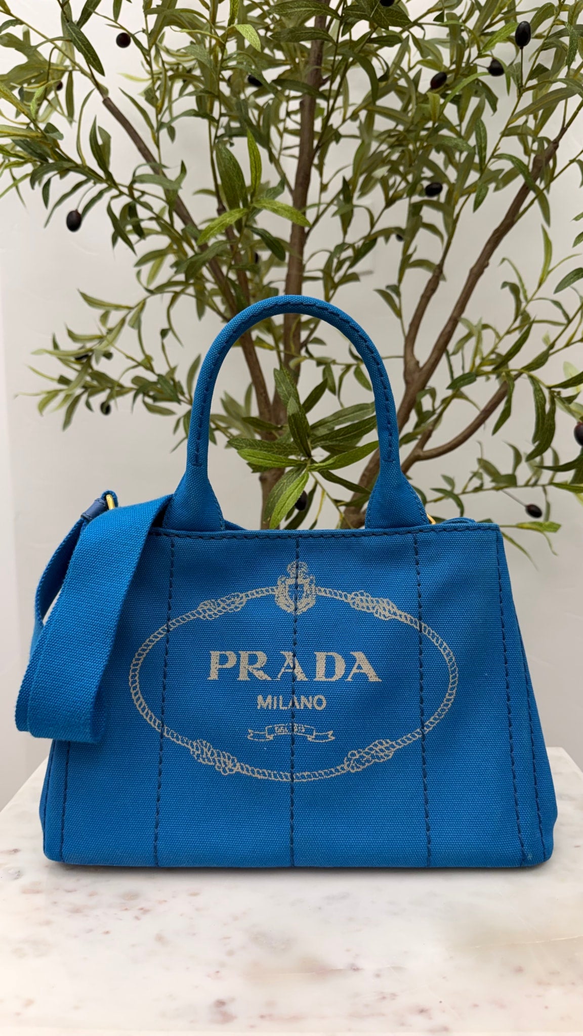 Prada Blue Canvas Canapa Mini Canvas Logo Tote 