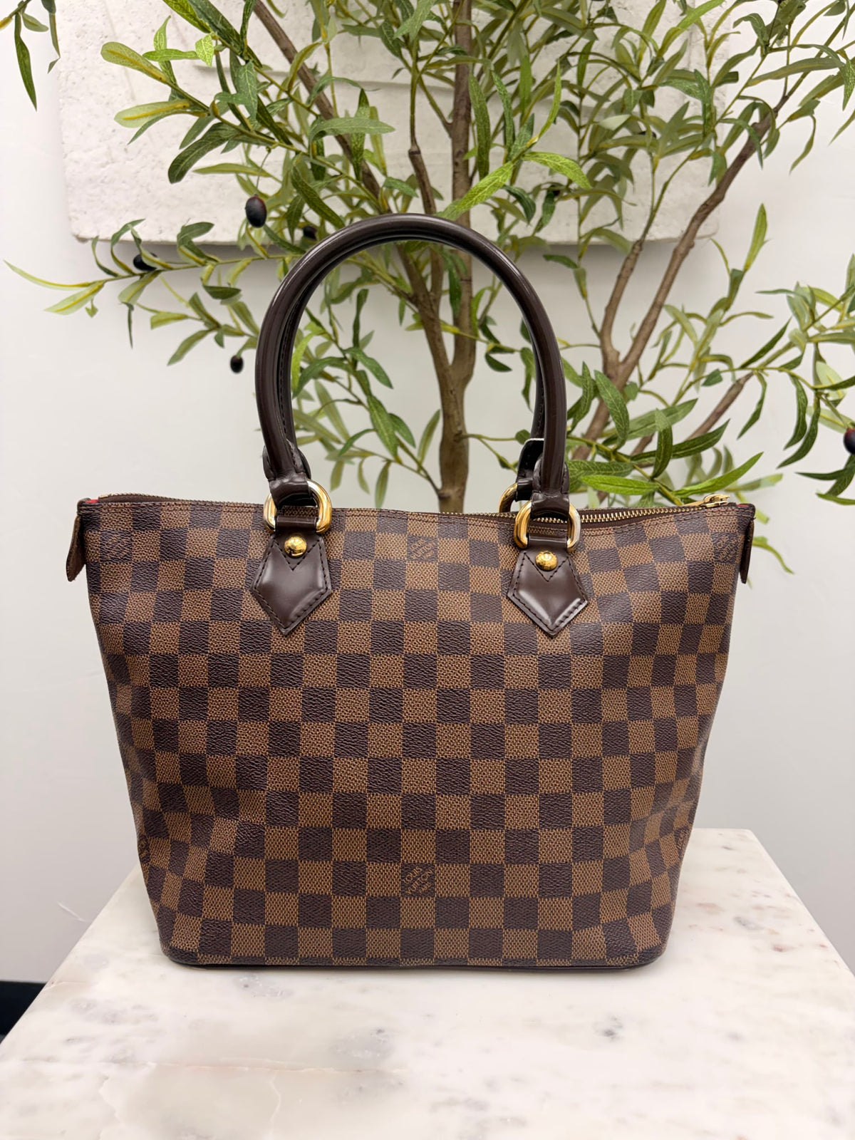  Louis Vuitton Damier Ebene Saleya Tote Bag PM