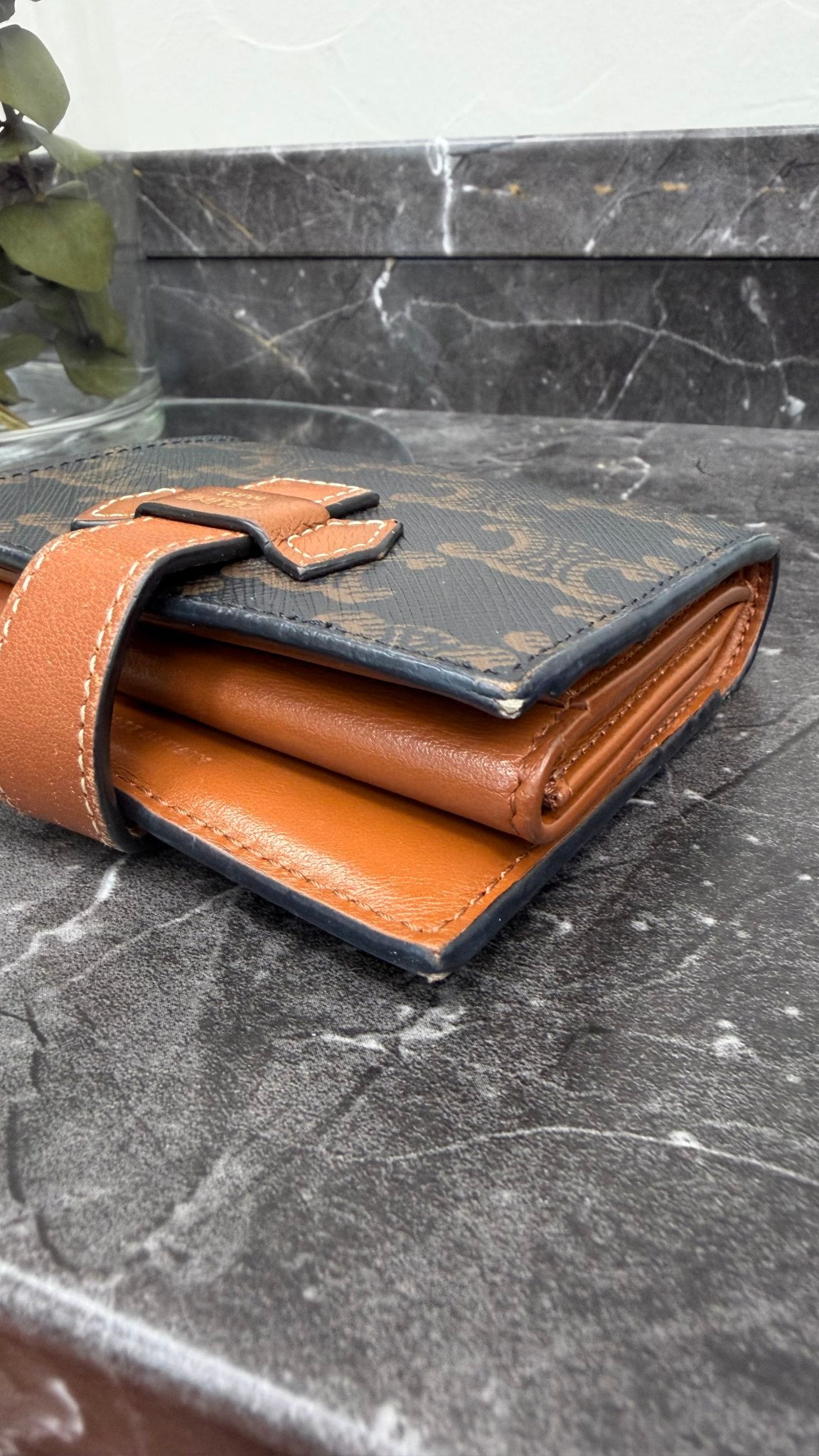 Celine Black & Brown Triomphe Canvas Small Strap Wallet