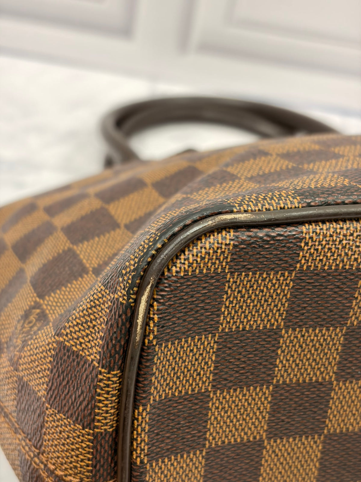  Louis Vuitton Damier Ebene Saleya Tote Bag PM