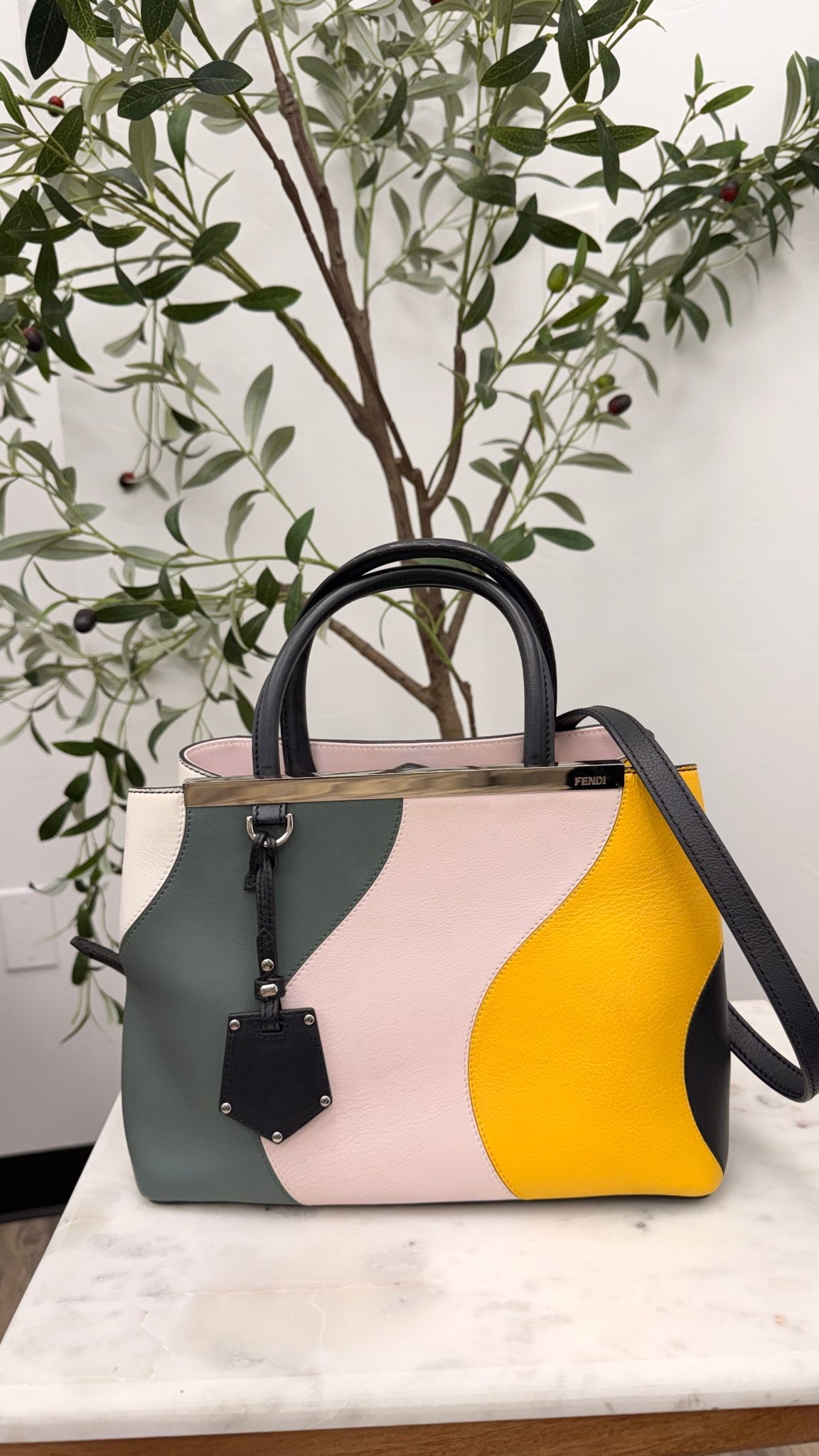 Fendi Multicolor Leather 2 Jours 2Way Handbag