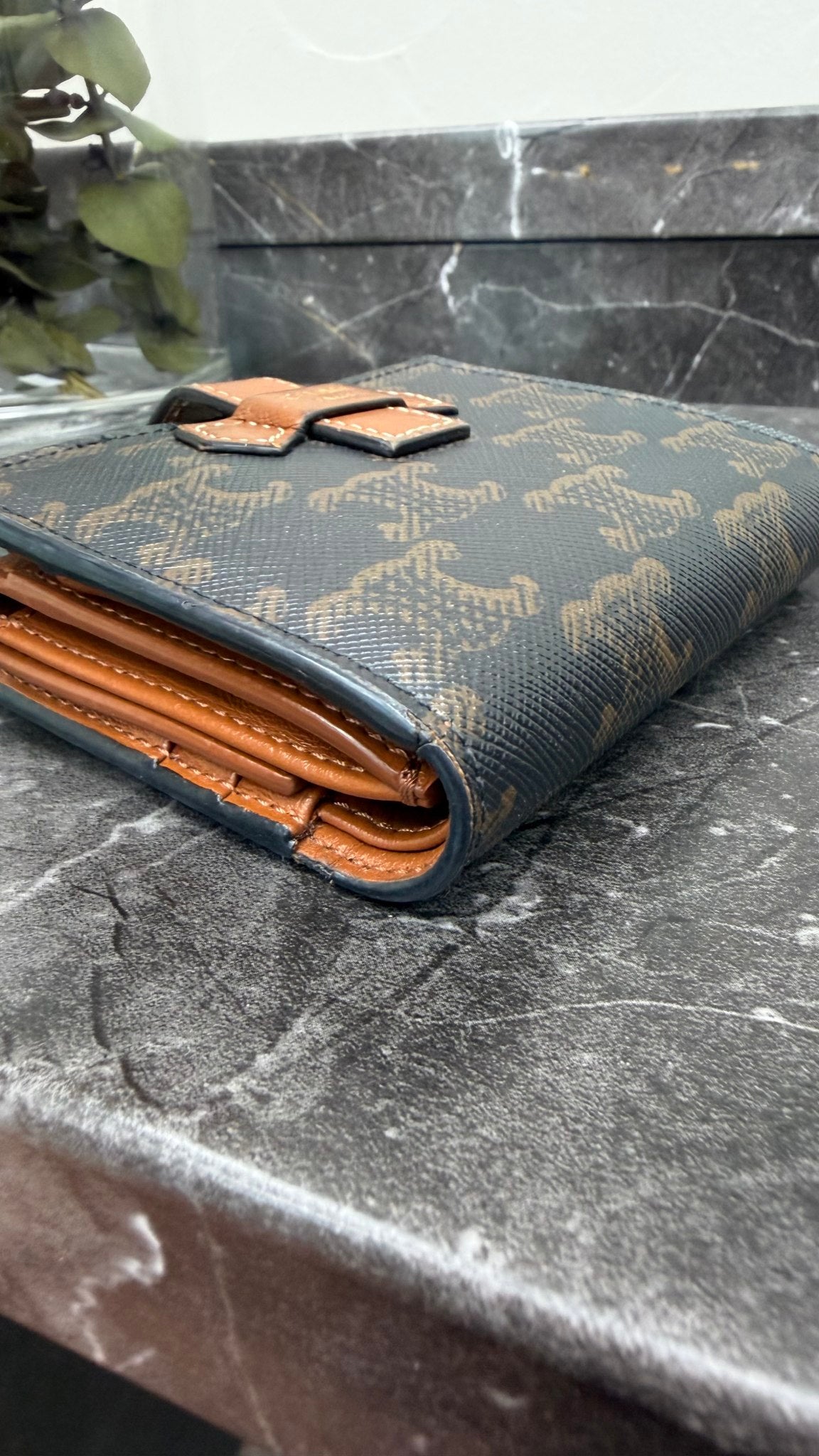 Celine Black & Brown Triomphe Canvas Small Strap Wallet