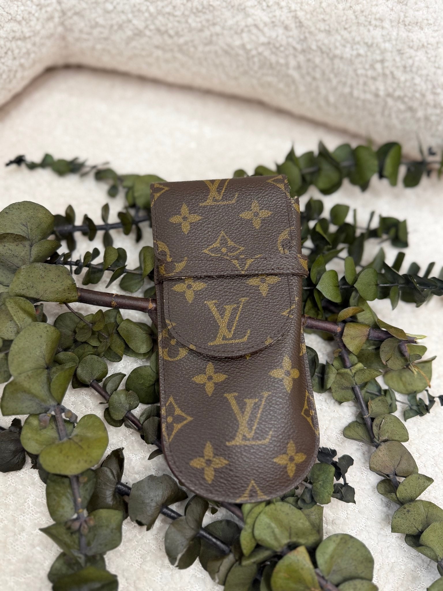 Louis Vuitton Monogram Glasses Case