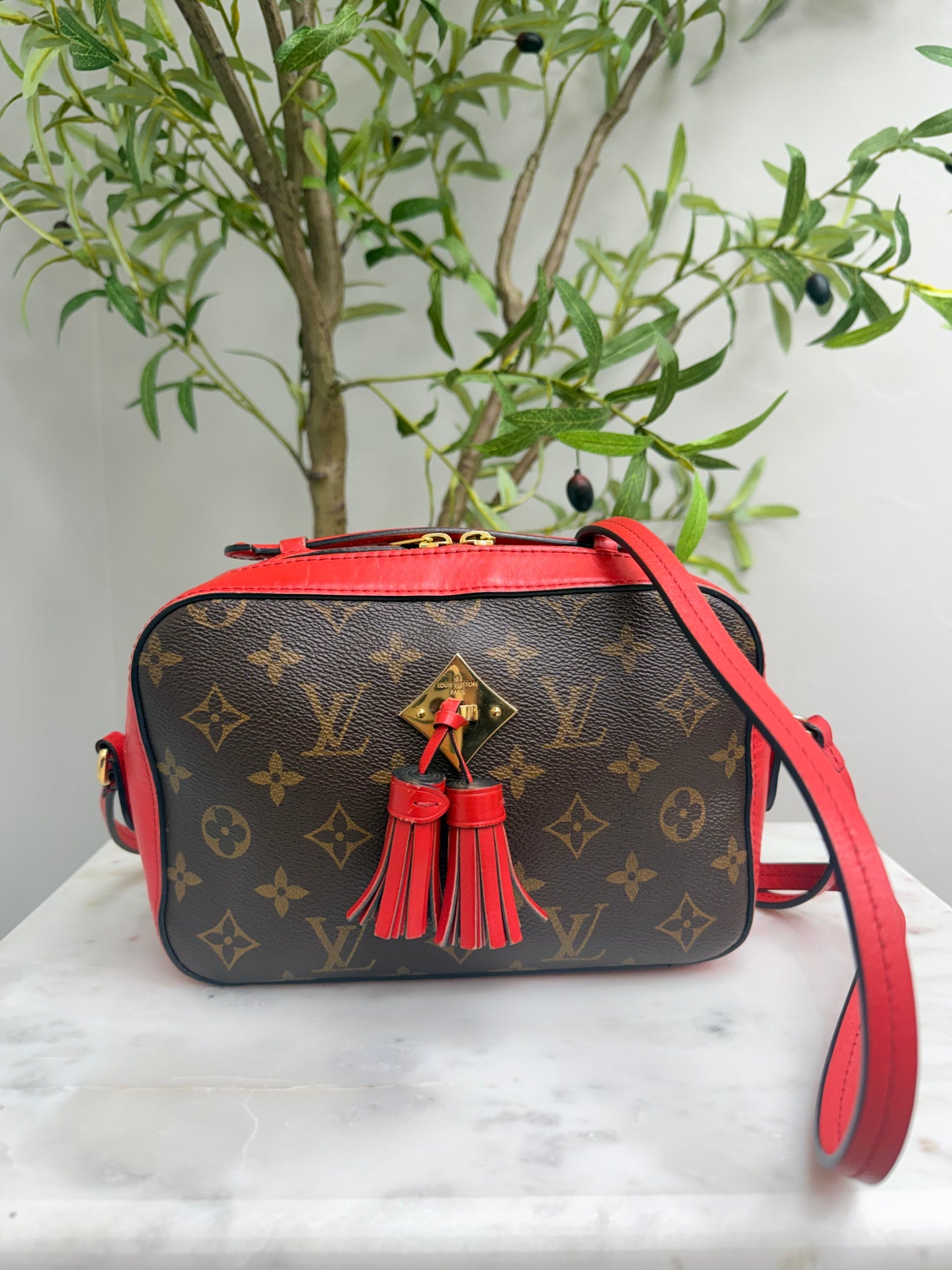Louis Vuitton Monogram Red Leather Saintonge Crossbody Bag 