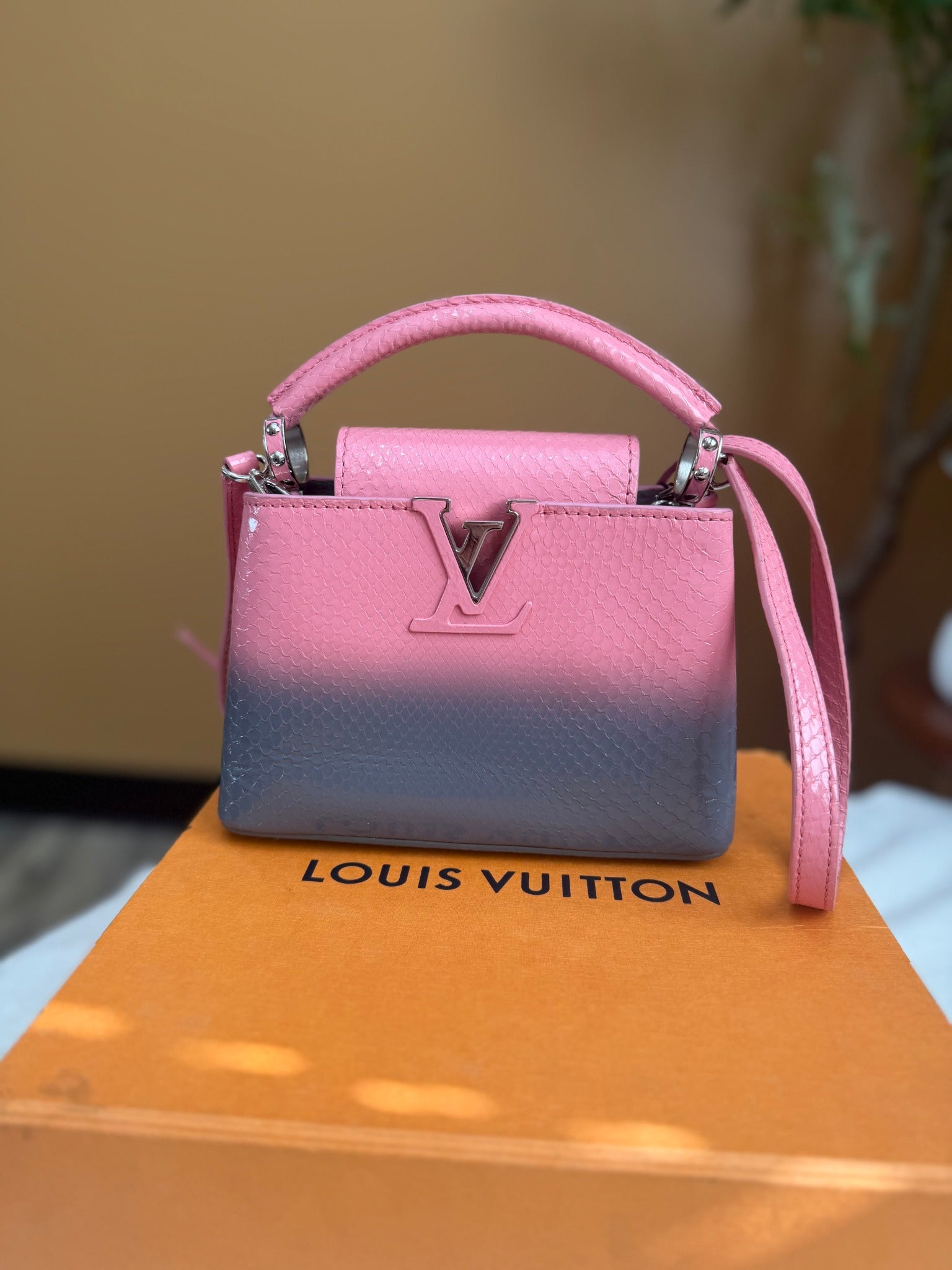 Louis Vuitton Pink And Gray Python Capucines BB Bag