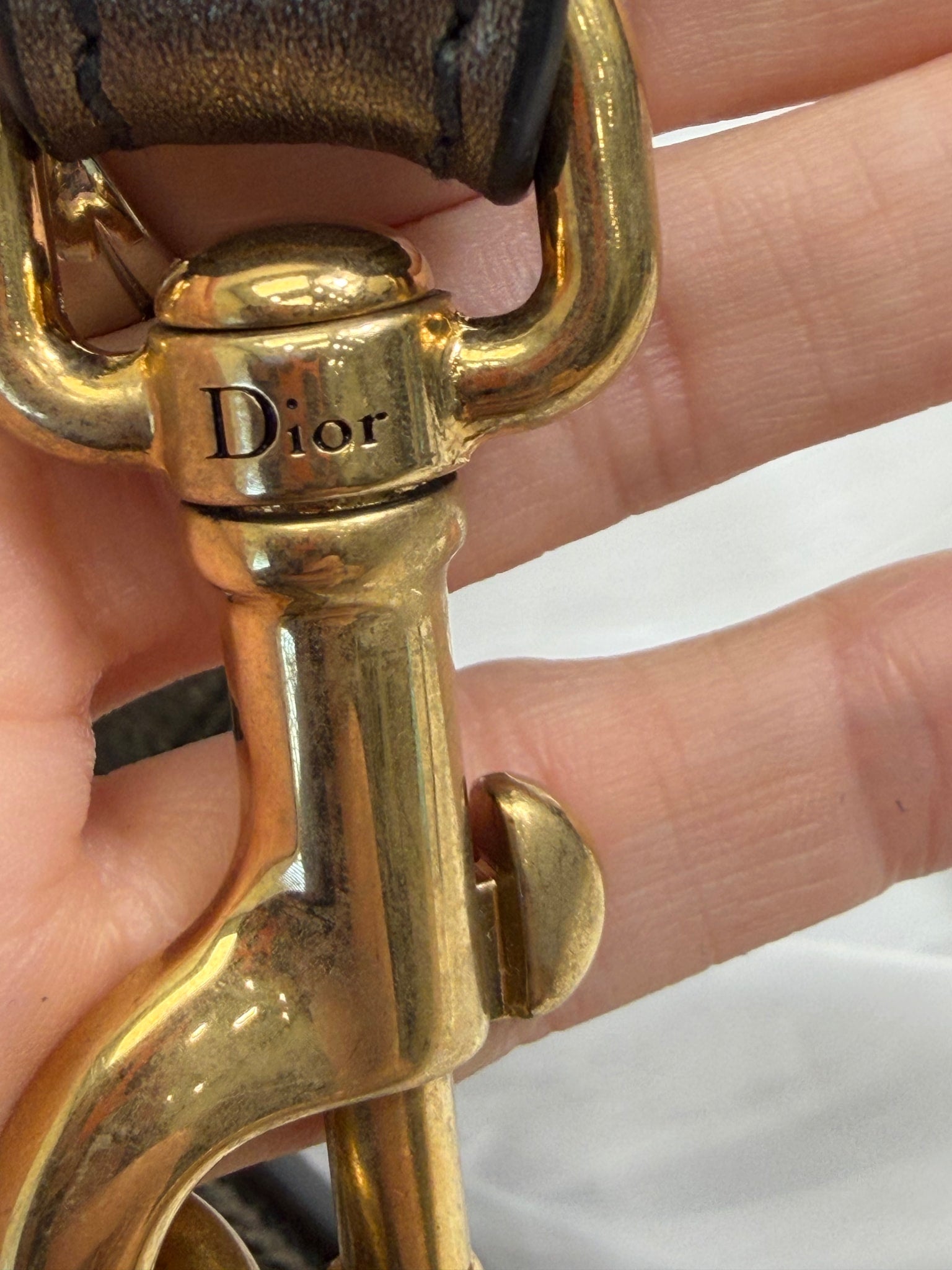 Christian Dior Metallic Bronze Grained Calfskin Crossbody