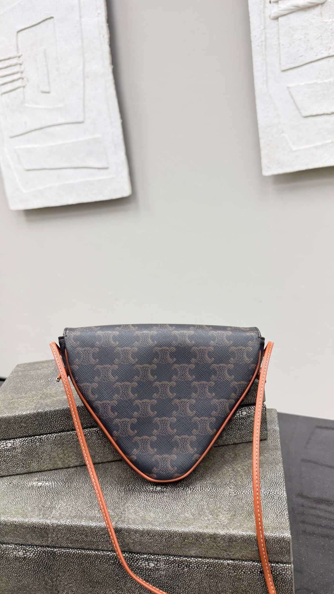 Celine Brown Triomphe Canvas Triangle Crossbody Bag