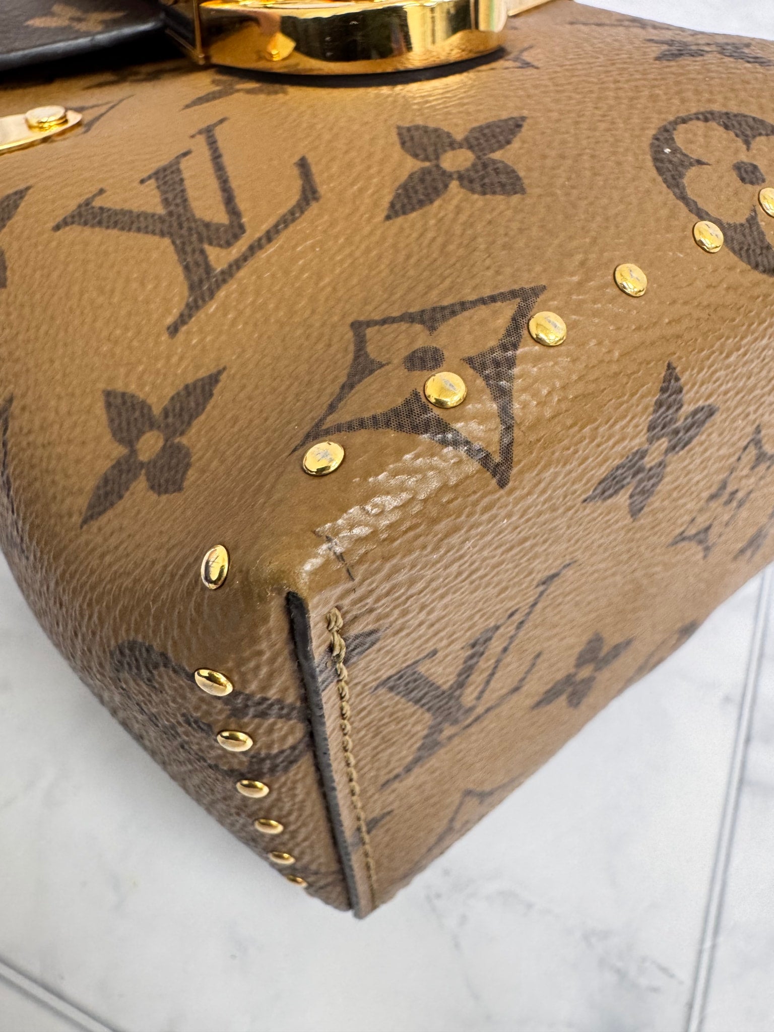 Louis Vuitton Reverse Monogram Camera Box Crossbody Bag