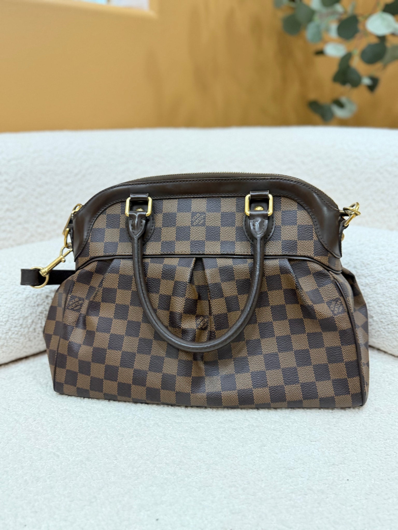 Louis Vuitton Damier Ebene Trevi GM