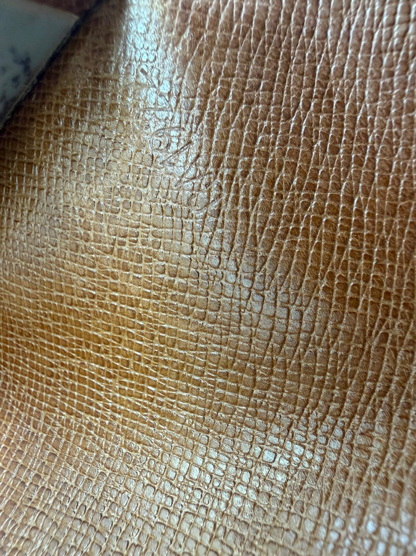 https://res.cloudinary.com/dyql5hig8/image/upload/v1761244924/ylxu4j86qnmpwjvbsox4.jpg