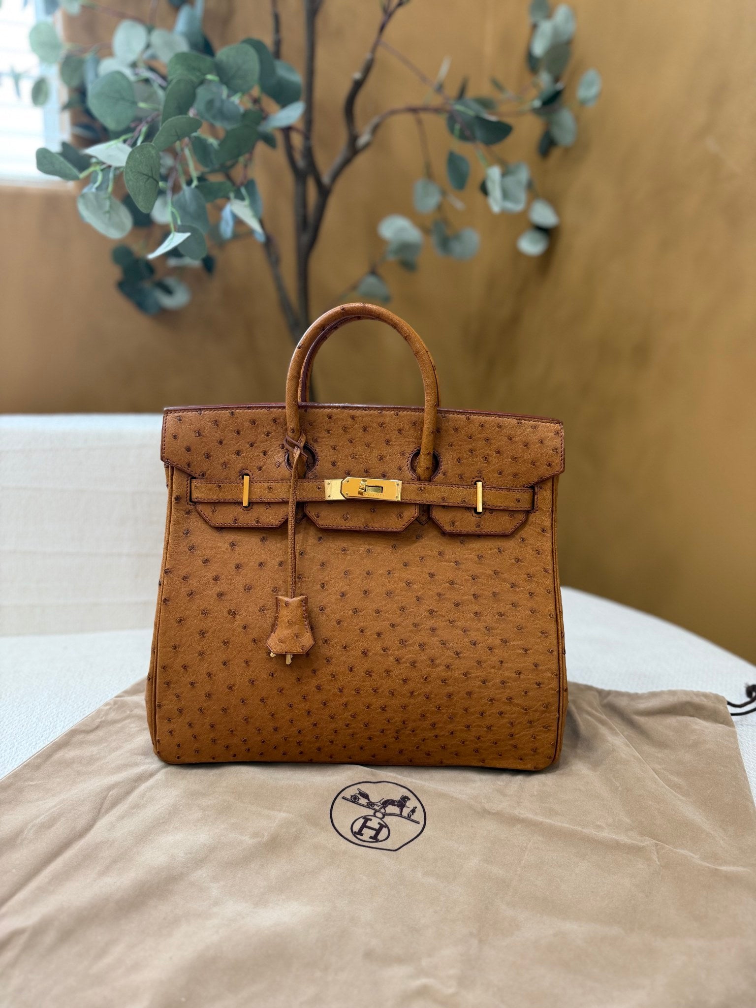 Hermes Ostrich Leather HAC Birkin 32