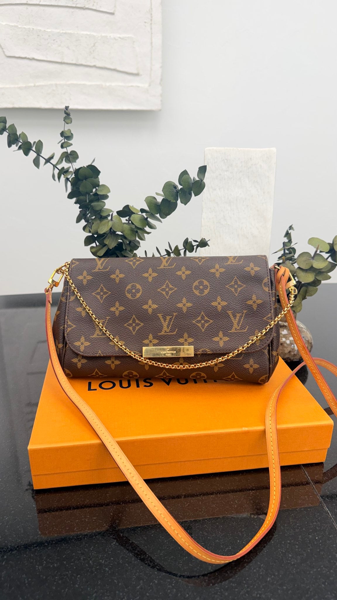 Louis Vuitton Monogram Favorite Crossbody Bag 