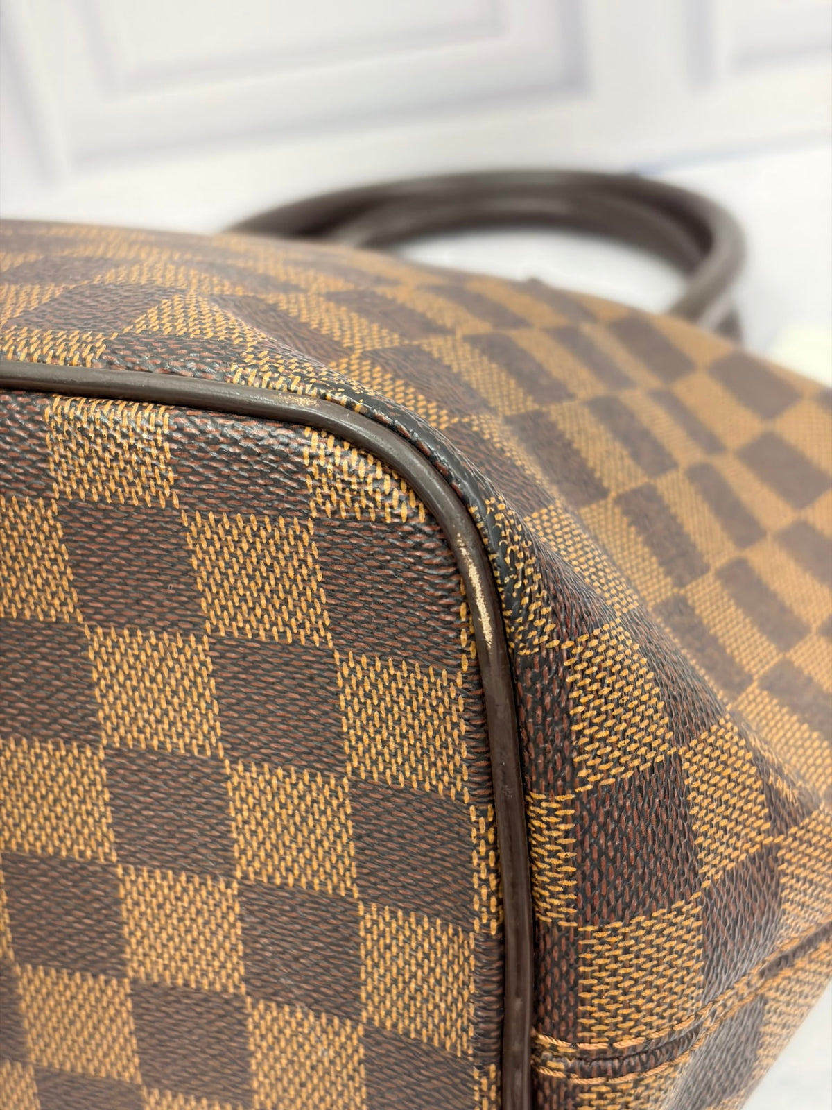  Louis Vuitton Damier Ebene Saleya Tote Bag PM