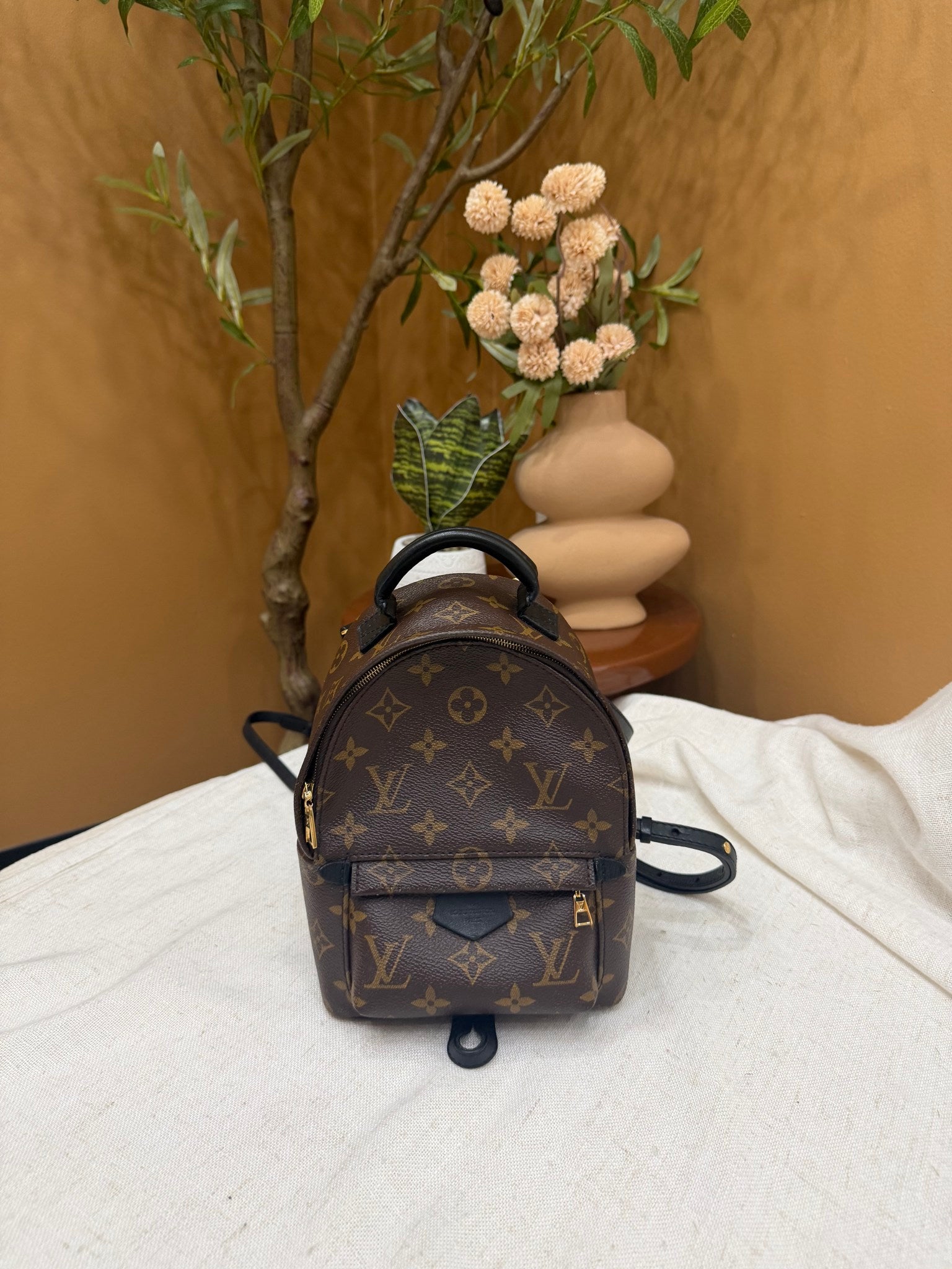 Louis Vuitton Monogram  Palm Springs Mini Backpack 