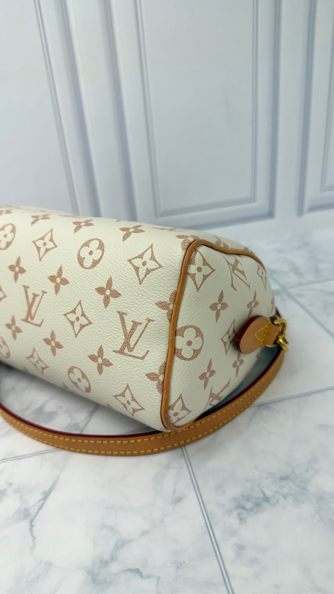 Louis Vuitton Monogram Dune Speedy 20 Bandouliere