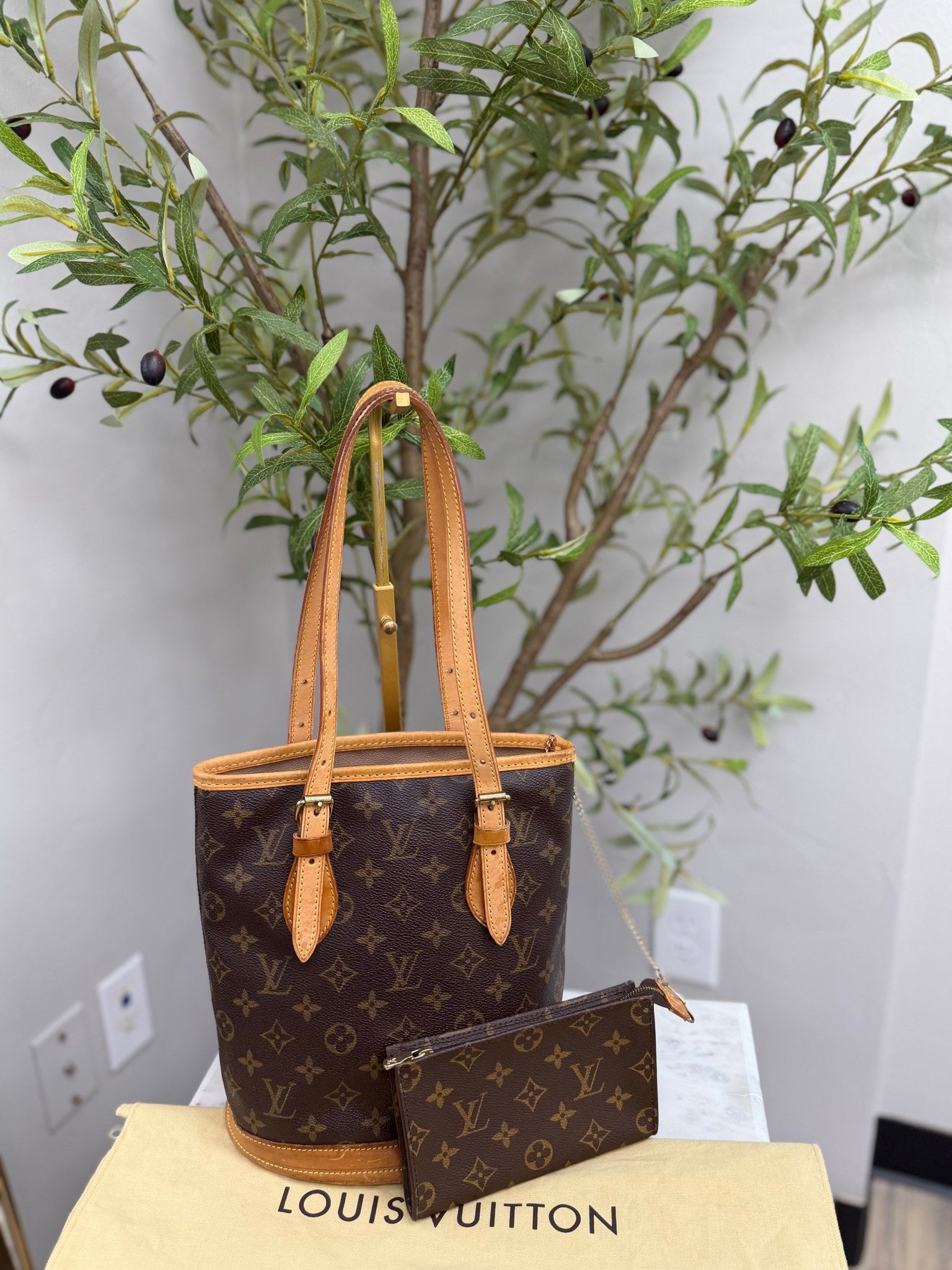 Louis Vuitton Monogram Petit Bucket PM Bag 