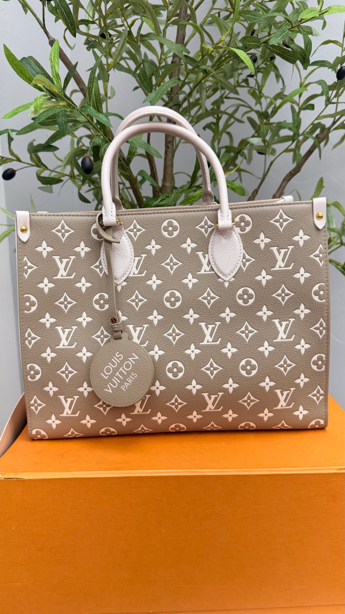Louis Vuitton Green And Cream Monogram Empreinte Leather On The Go Handbag 
