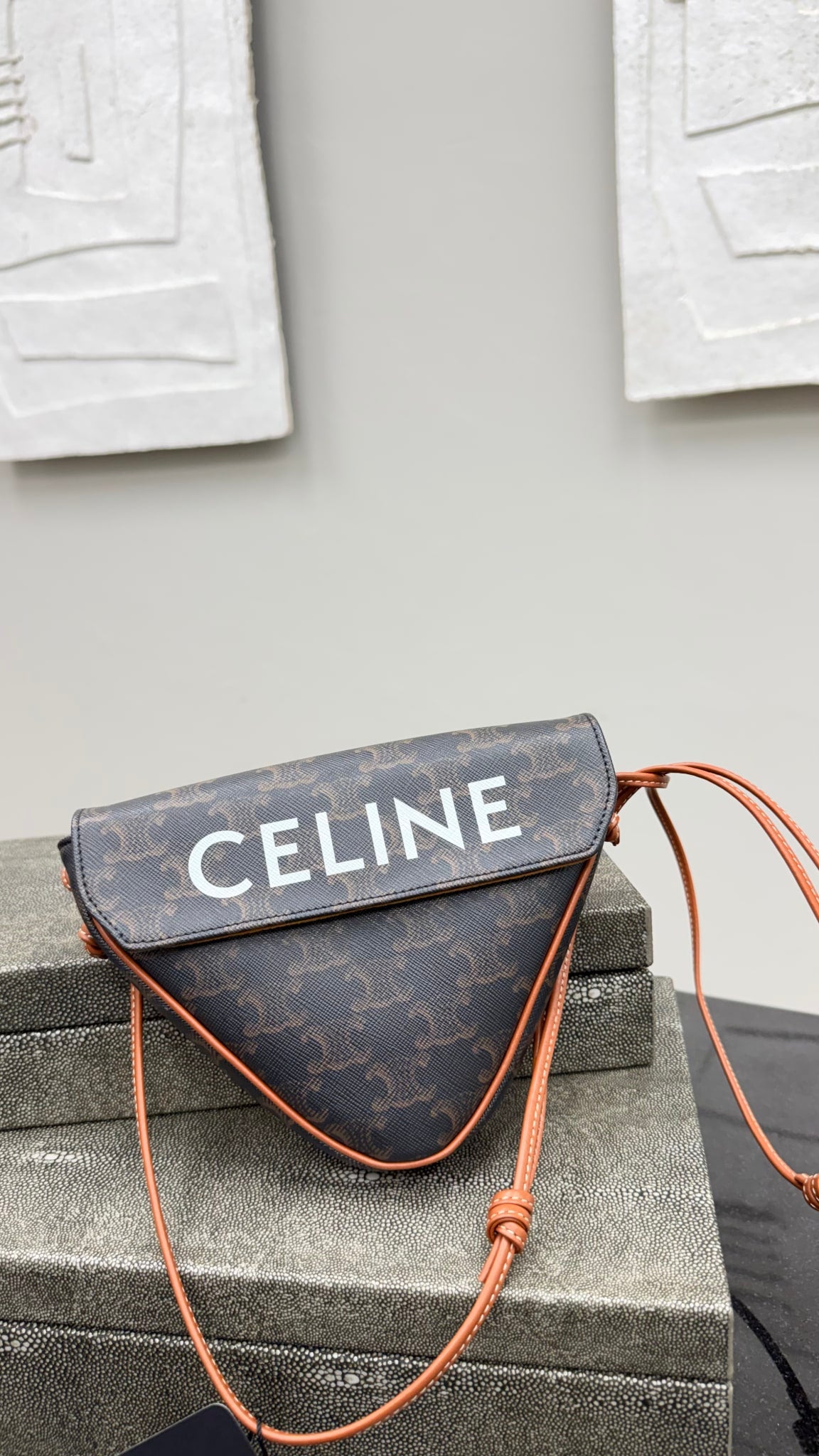Celine Brown Triomphe Canvas Triangle Crossbody Bag
