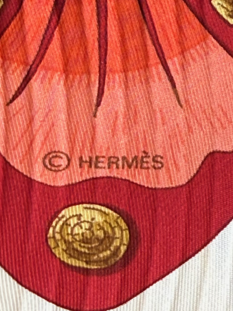 https://res.cloudinary.com/dyql5hig8/image/upload/v1757008514/zumkgrkaa4ozpveckjjg.jpg
